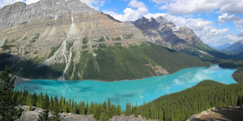 Peyto Lake's turquoise wolf-head seen from Bow Summit, Icefields Parkway