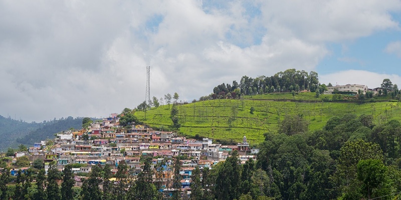 Tea estates above Coonoor in the Nilgiris