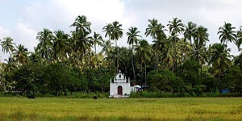 Goan Country Ride