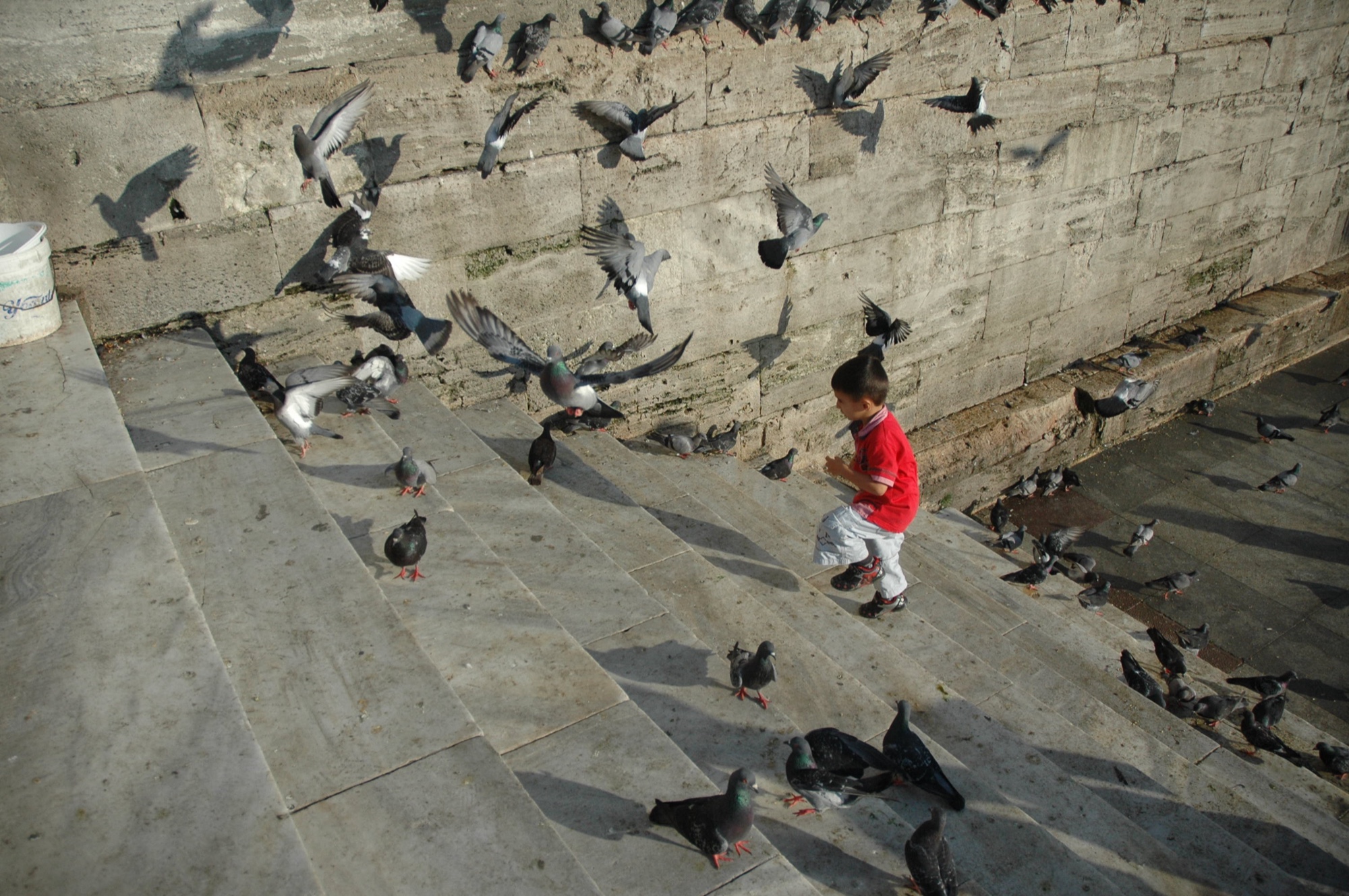 Turkey (2010)